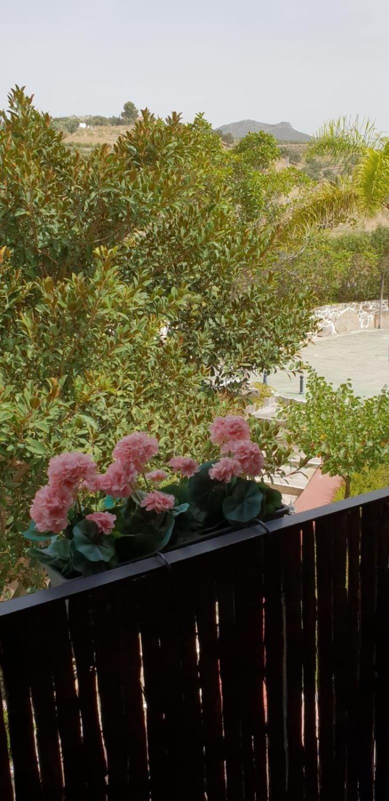 Hotel Cortijo De Salia Alcaucín Oda fotoğraf